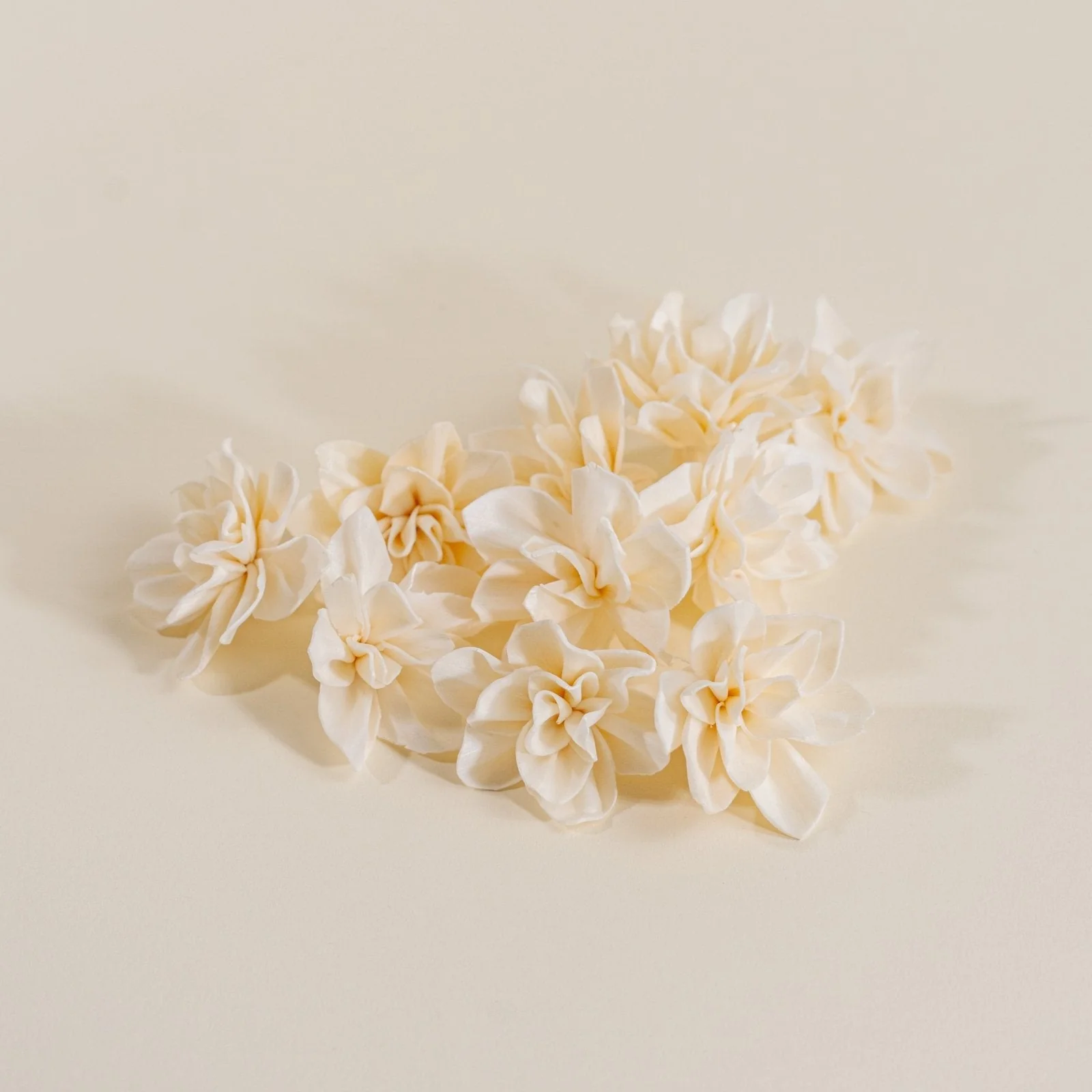 1.5" Alice (10 pack) - Image 5