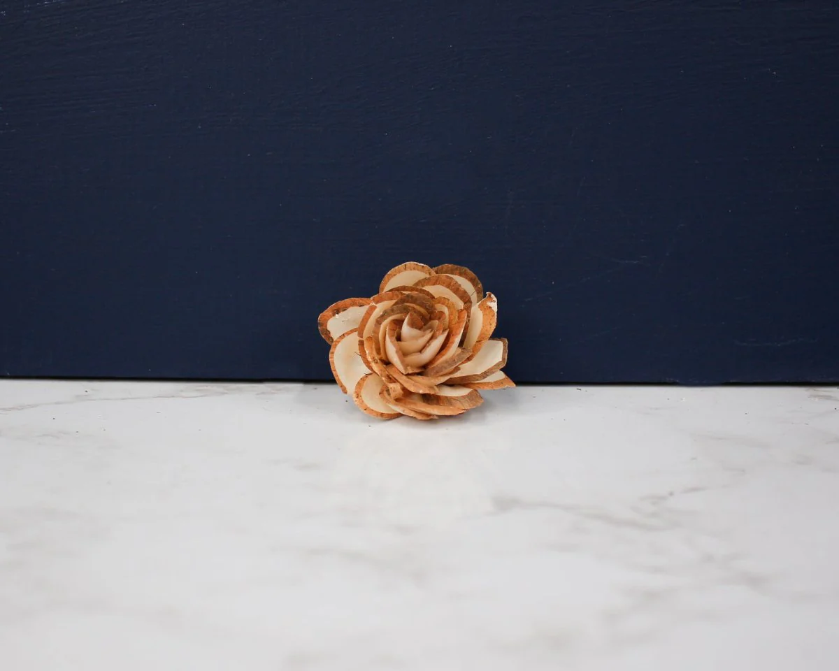 1.5" Almond (10 pack) - Image 2