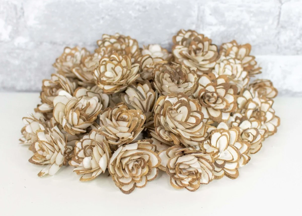 1.5" Almond - 50 Pack - Image 3