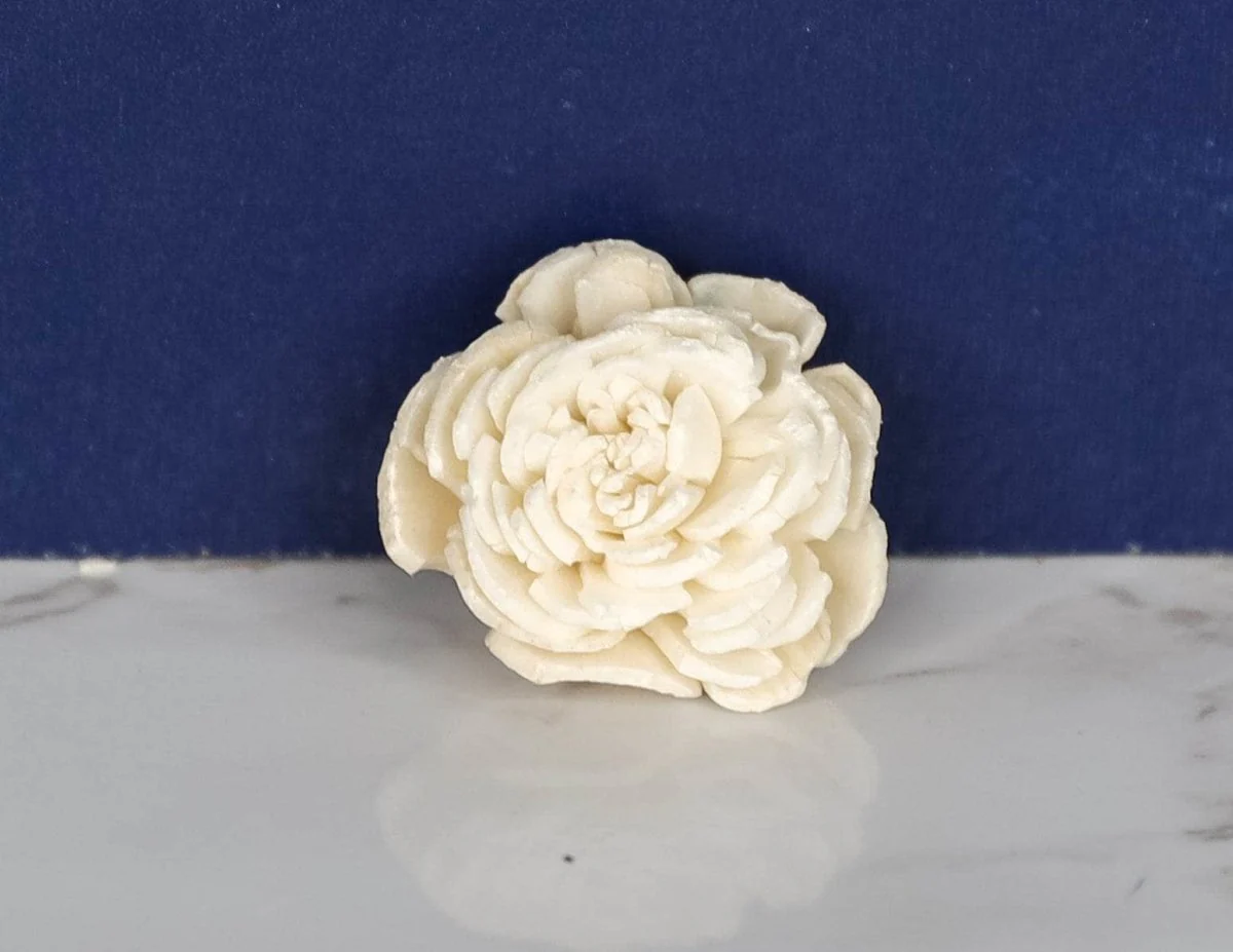 1.5" Bali (10 pack) - Image 2