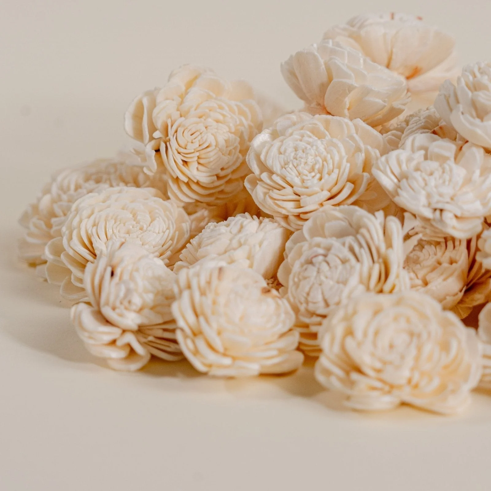 1.5" Bali - 50 Pack - Image 3