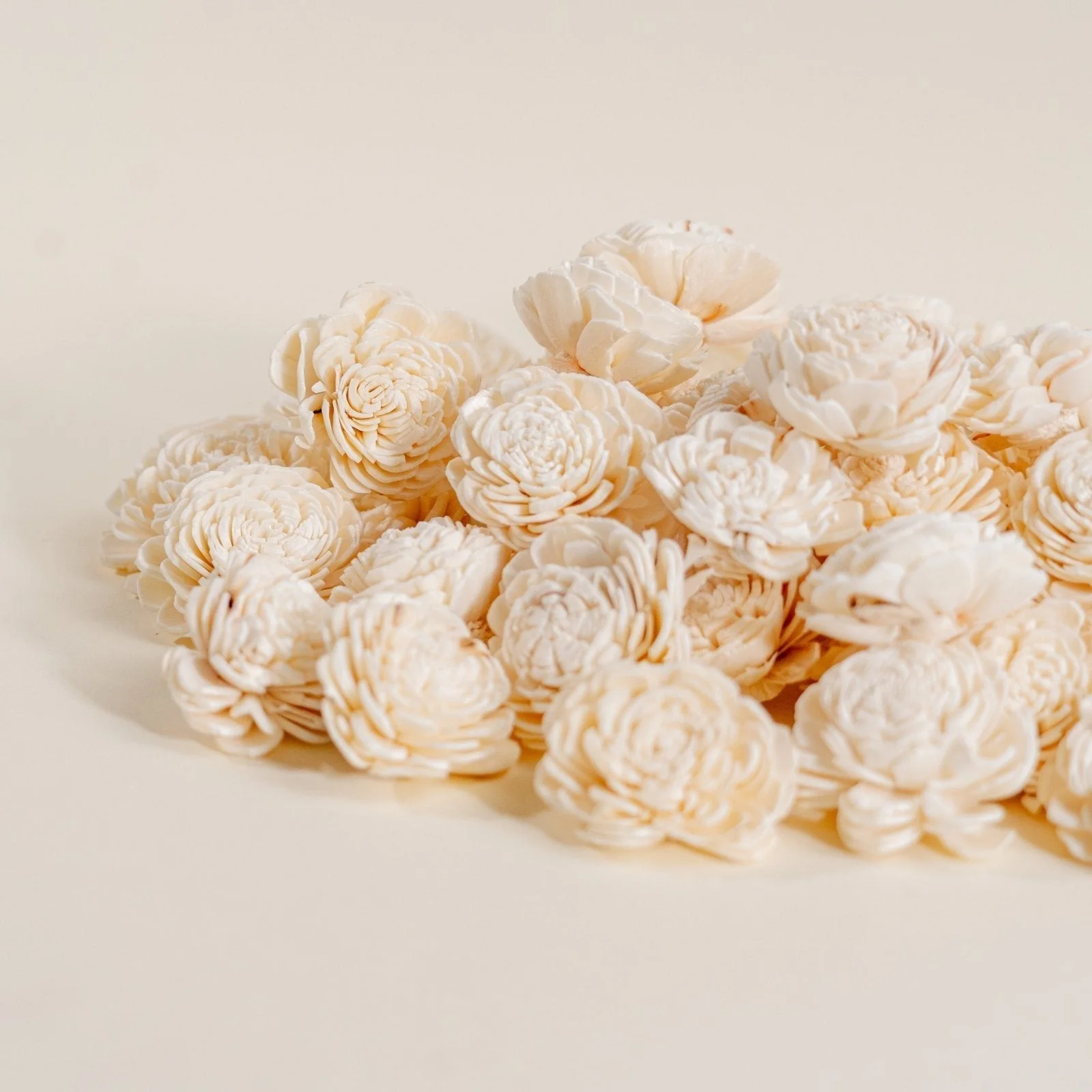 1.5" Bali - 50 Pack - Image 4
