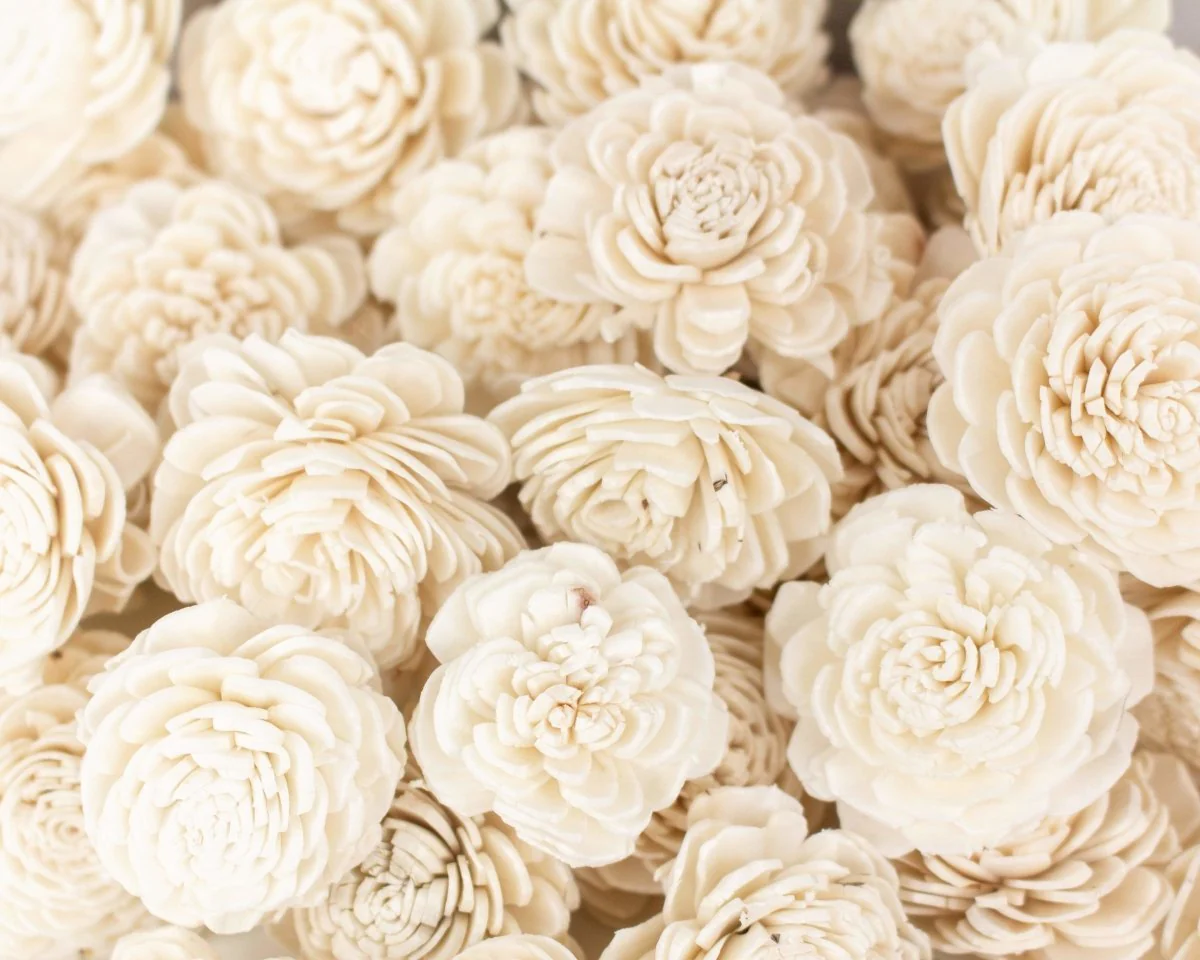 1.5" Bali - 50 Pack - Image 5