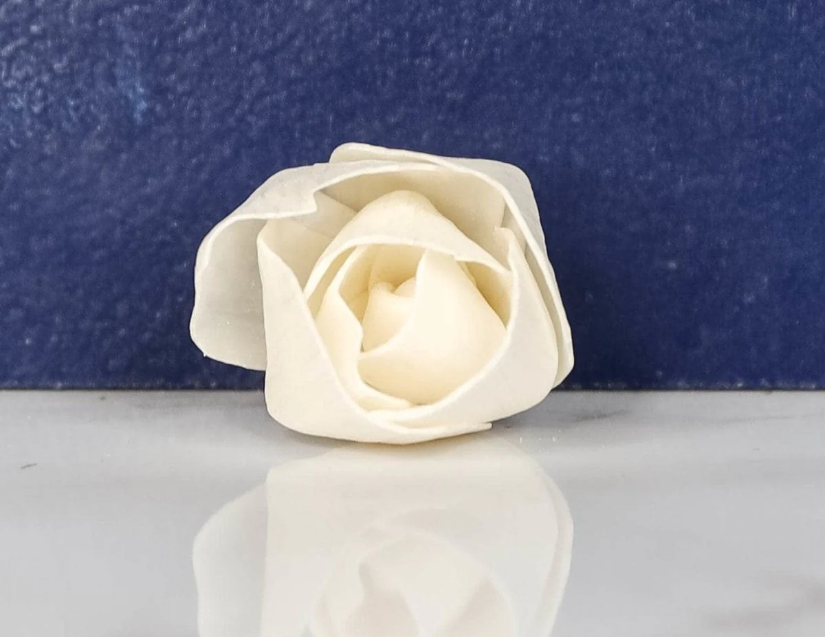 1.5" Bay Bay (10 Pack) - Image 2