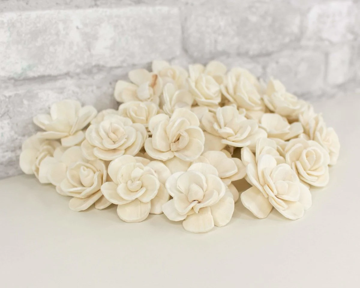 1.5" Betty The Beautiful - 50 Pack - Image 3