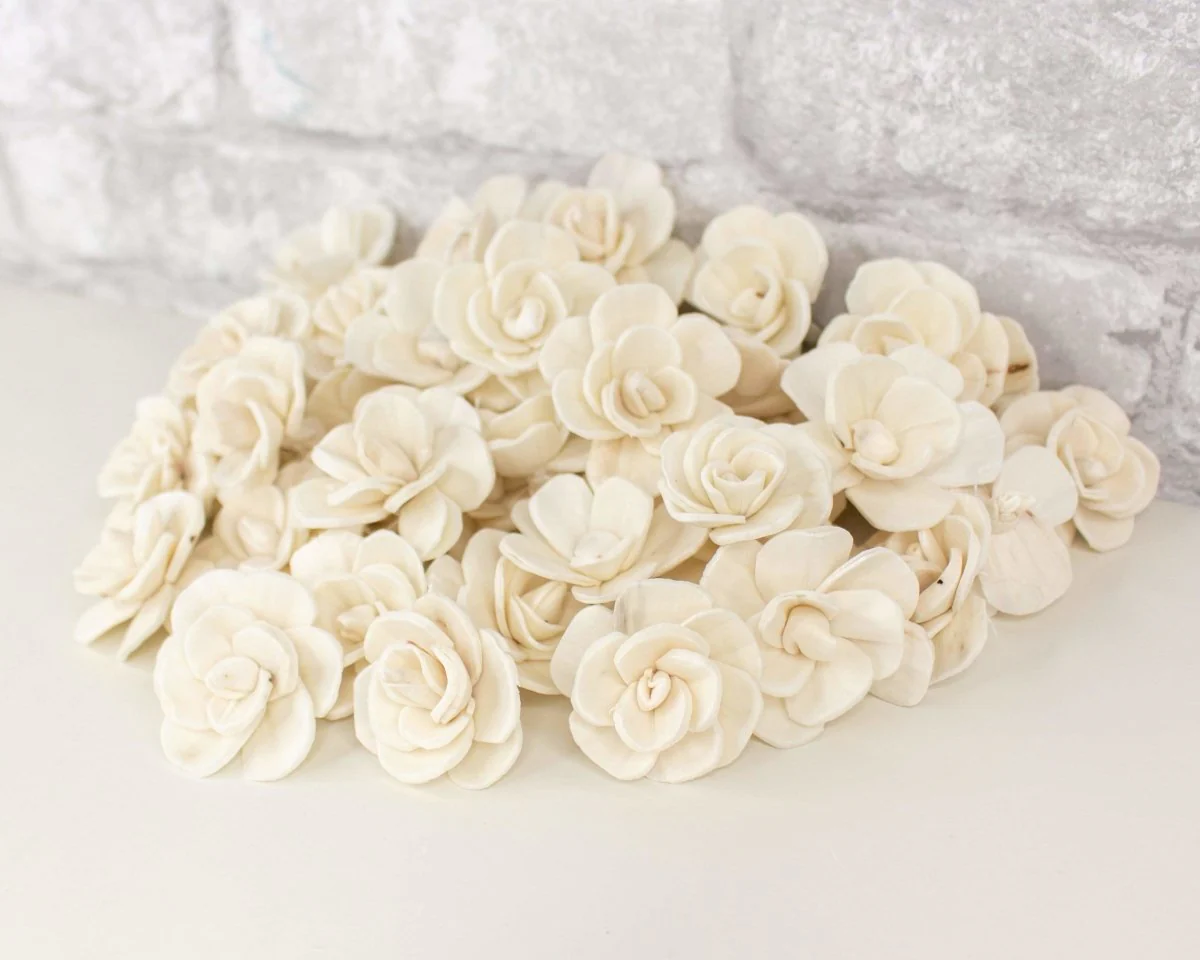 1.5" Betty The Beautiful - 50 Pack - Image 8