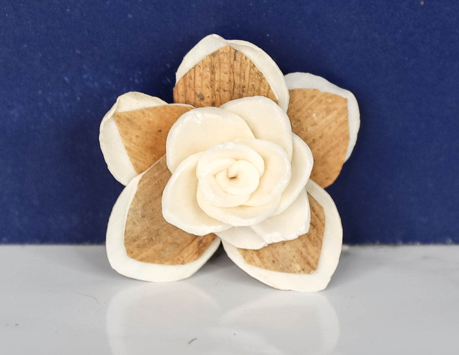 1.5" Bluebell (10 Pack) - Image 2