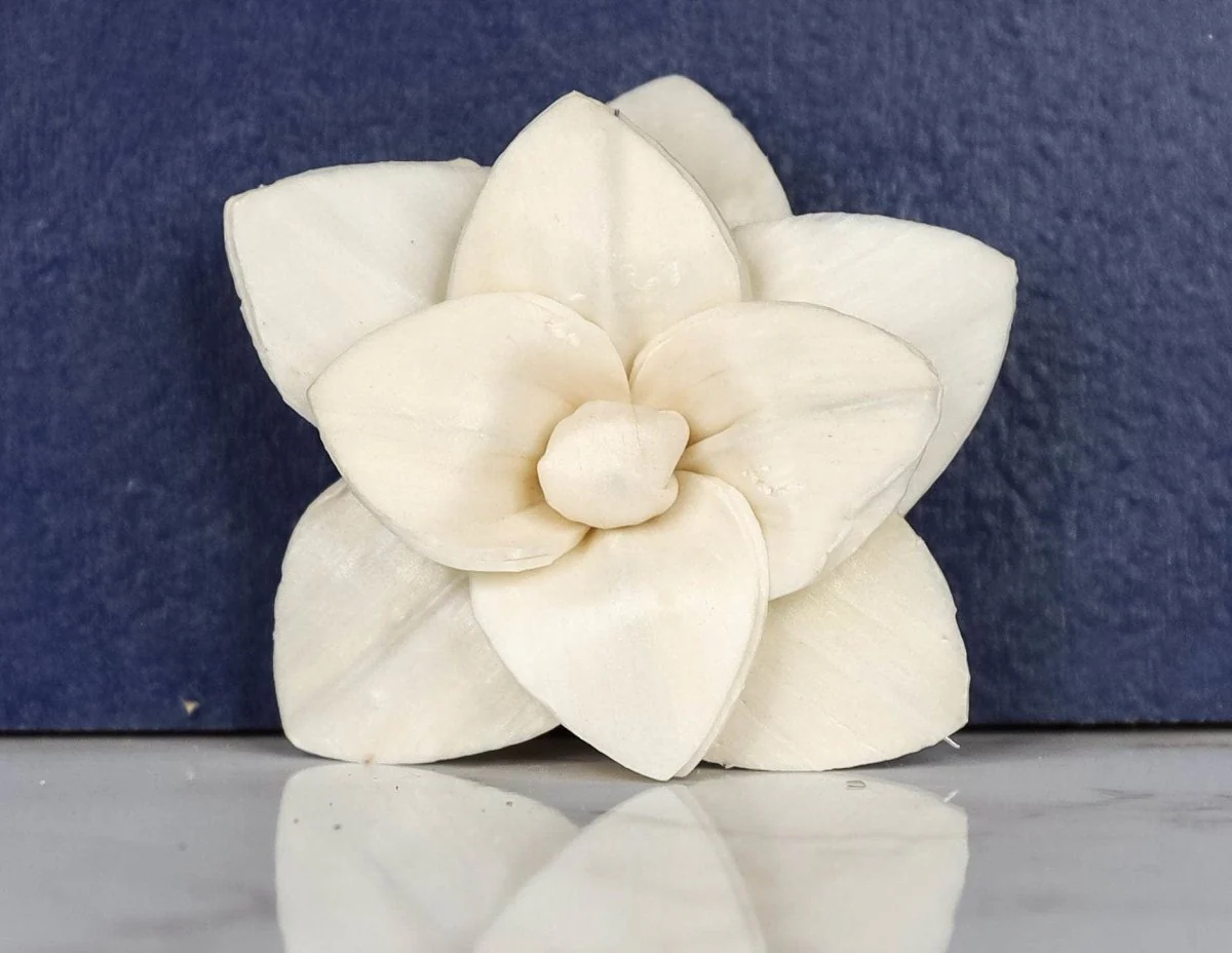 1.5" Brittney (10 pack) - Image 2