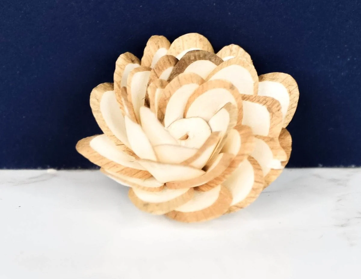1.5" Button Almond (10 Pack) - Image 2
