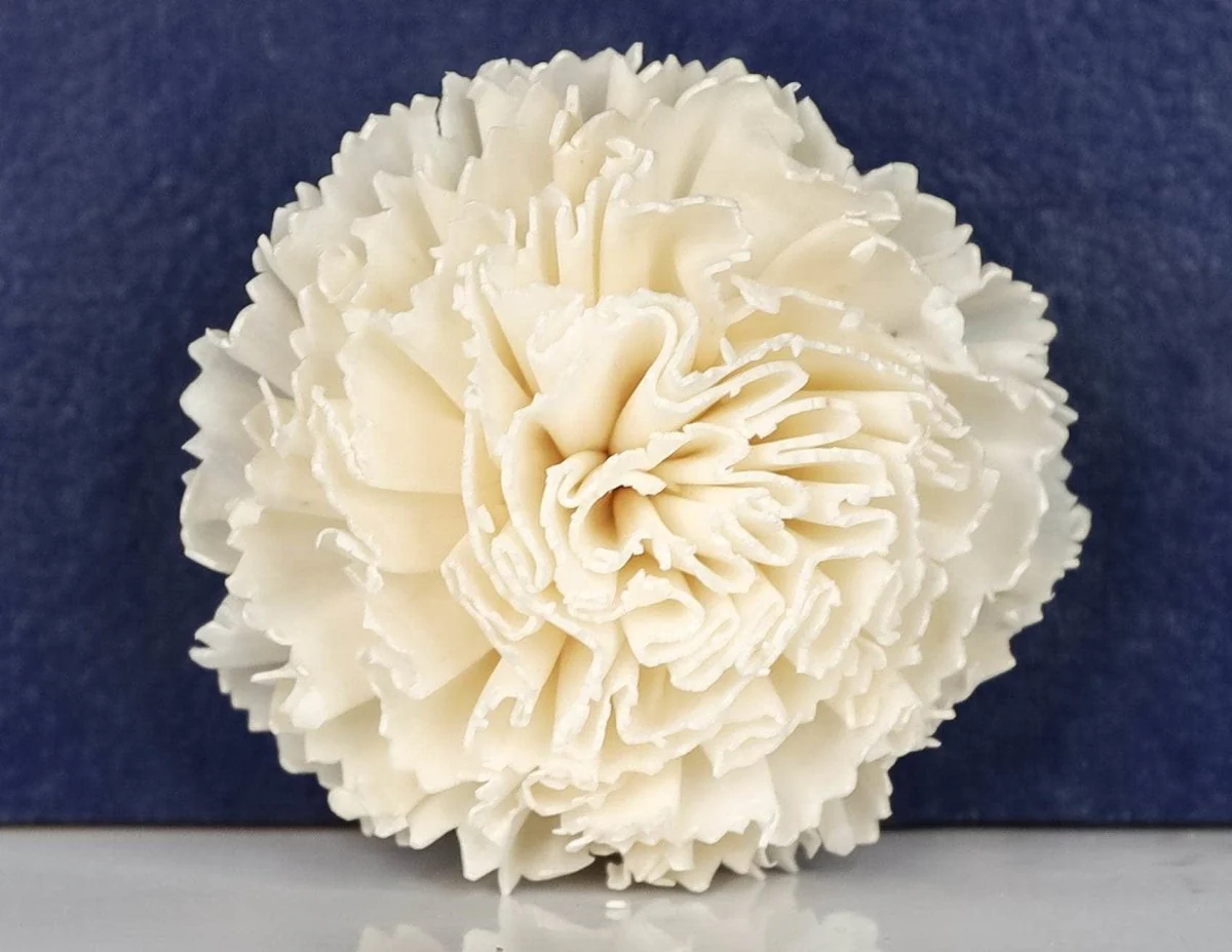 1.5" Carnation (10 pack) - Image 2