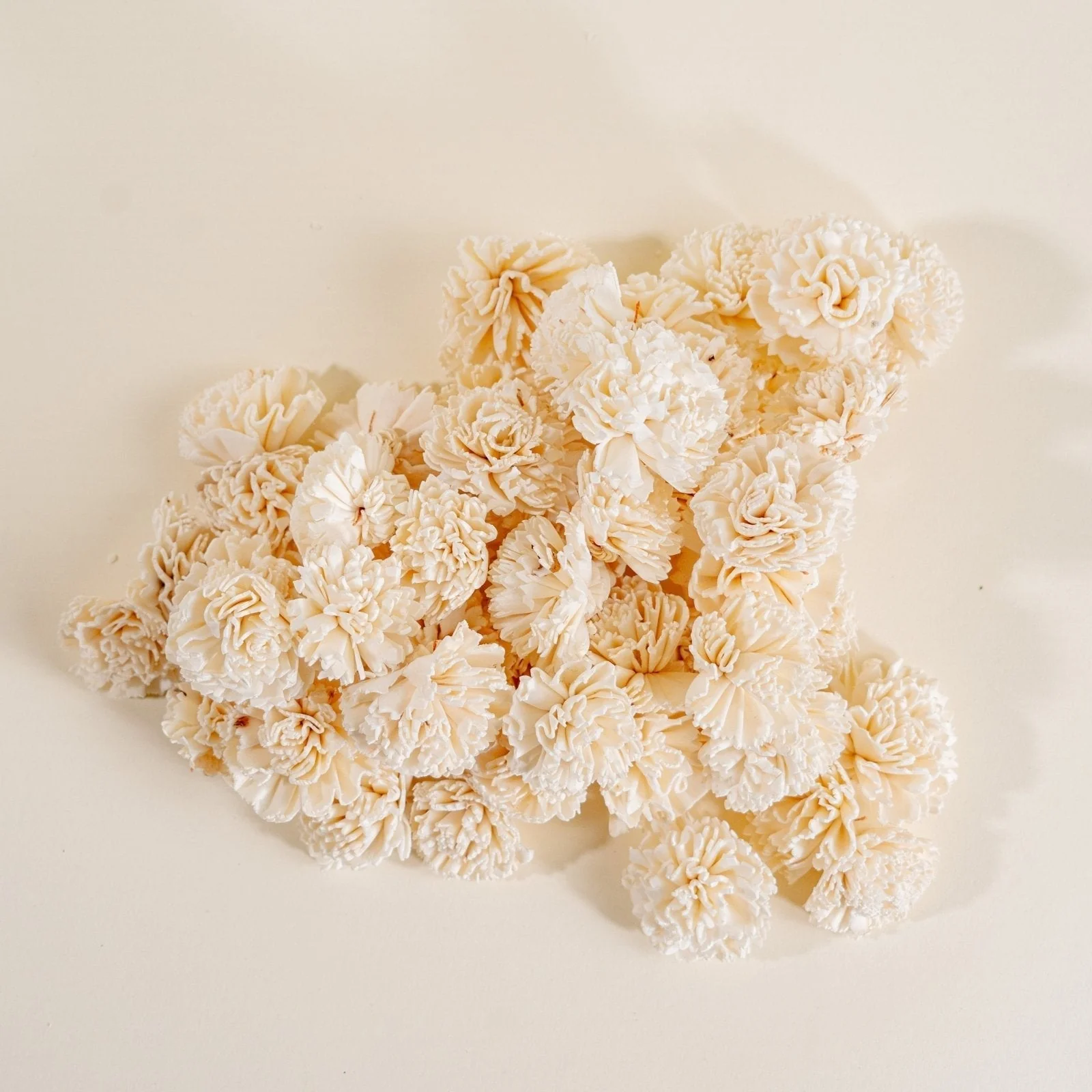 1.5" Carnation - 50 Pack - Image 3