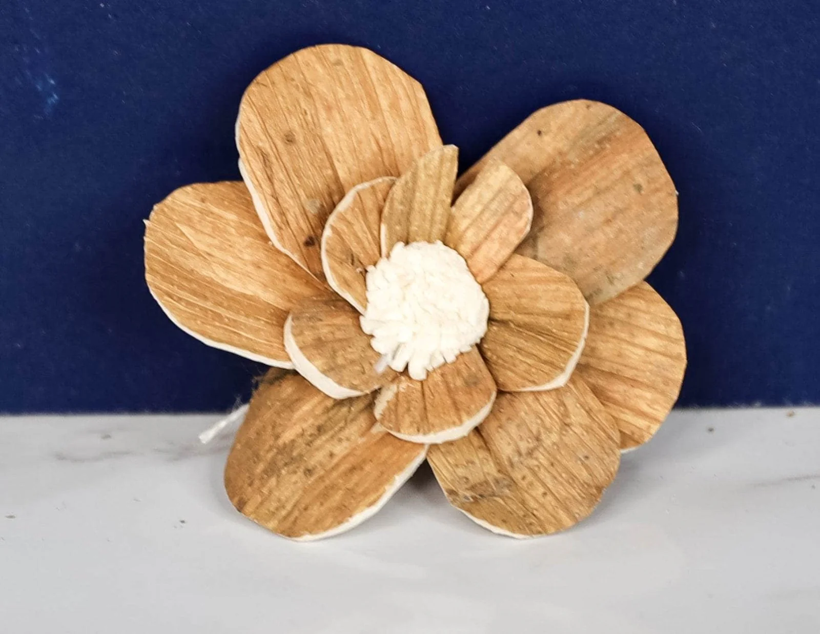 1.5" Coco (10 Pack) - Image 2
