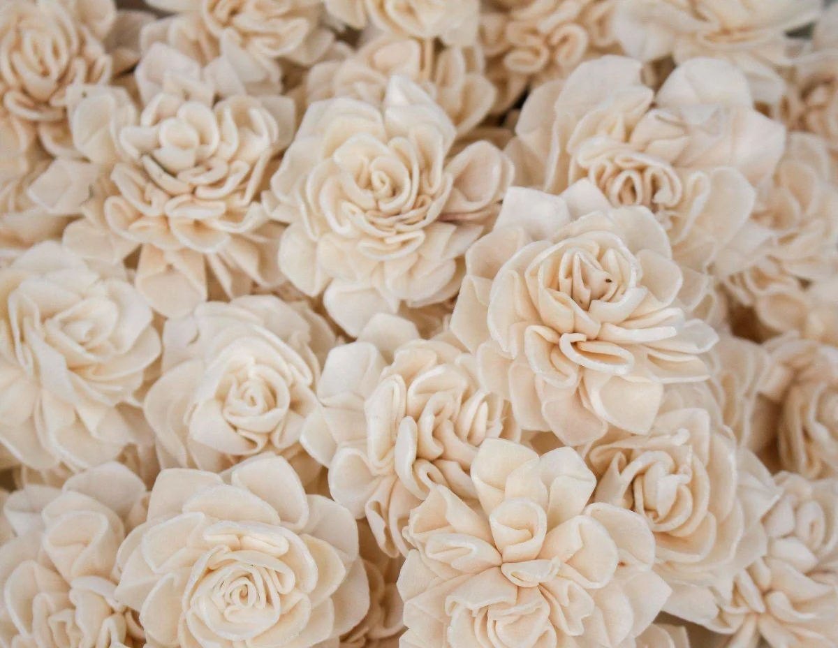 1.5" Dahlia- 50 Pack - Image 2