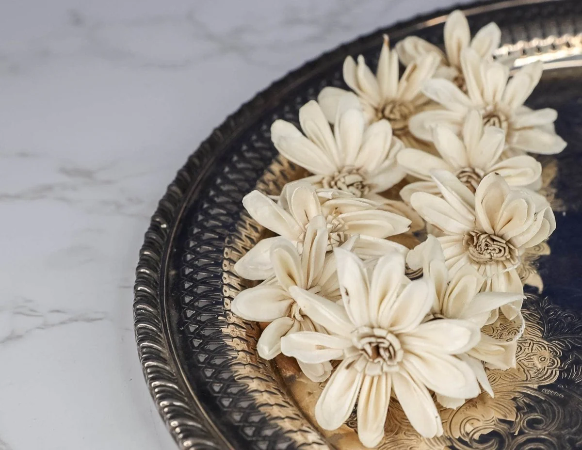 1.5" Daisy May (10 Pack) - Image 3