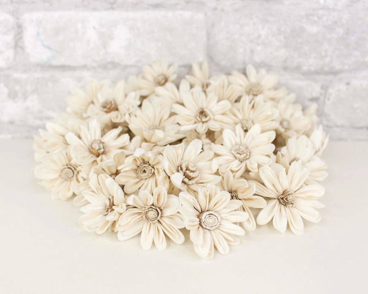 1.5" Daisy May - 50 Pack - Image 5
