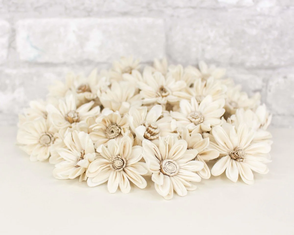 1.5" Daisy May - 50 Pack - Image 6