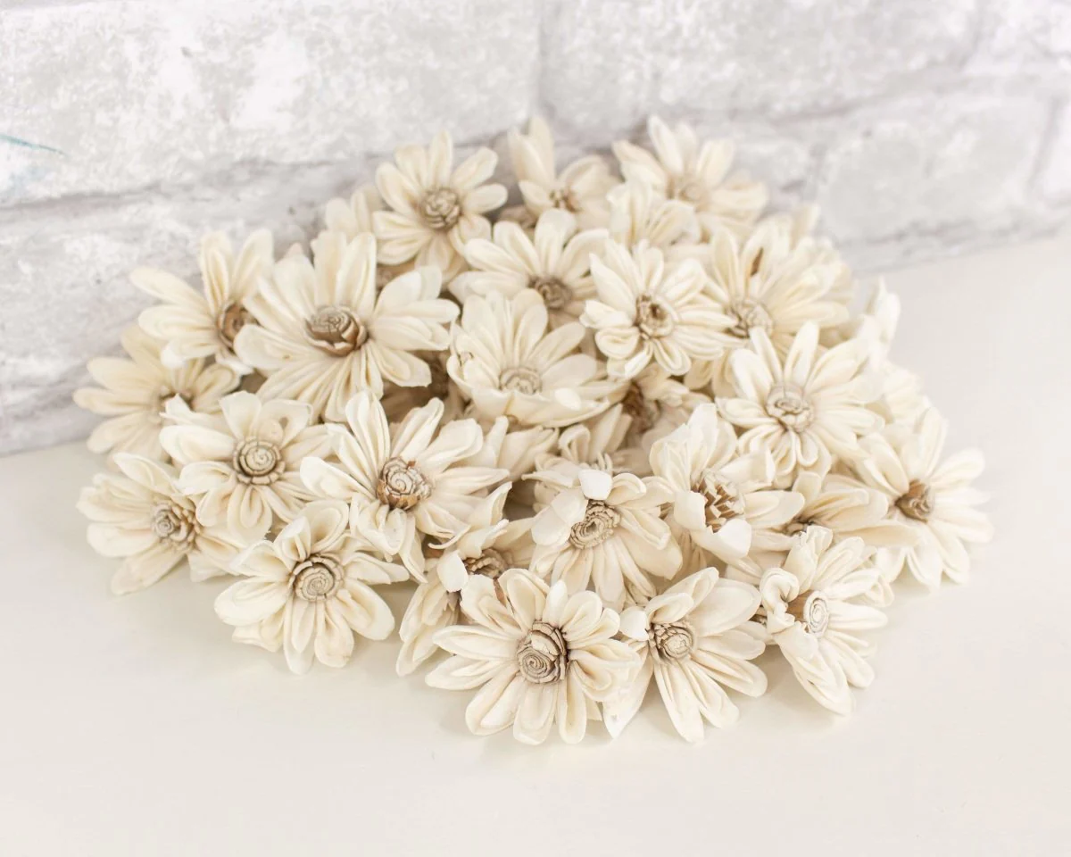 1.5" Daisy May - 50 Pack - Image 7