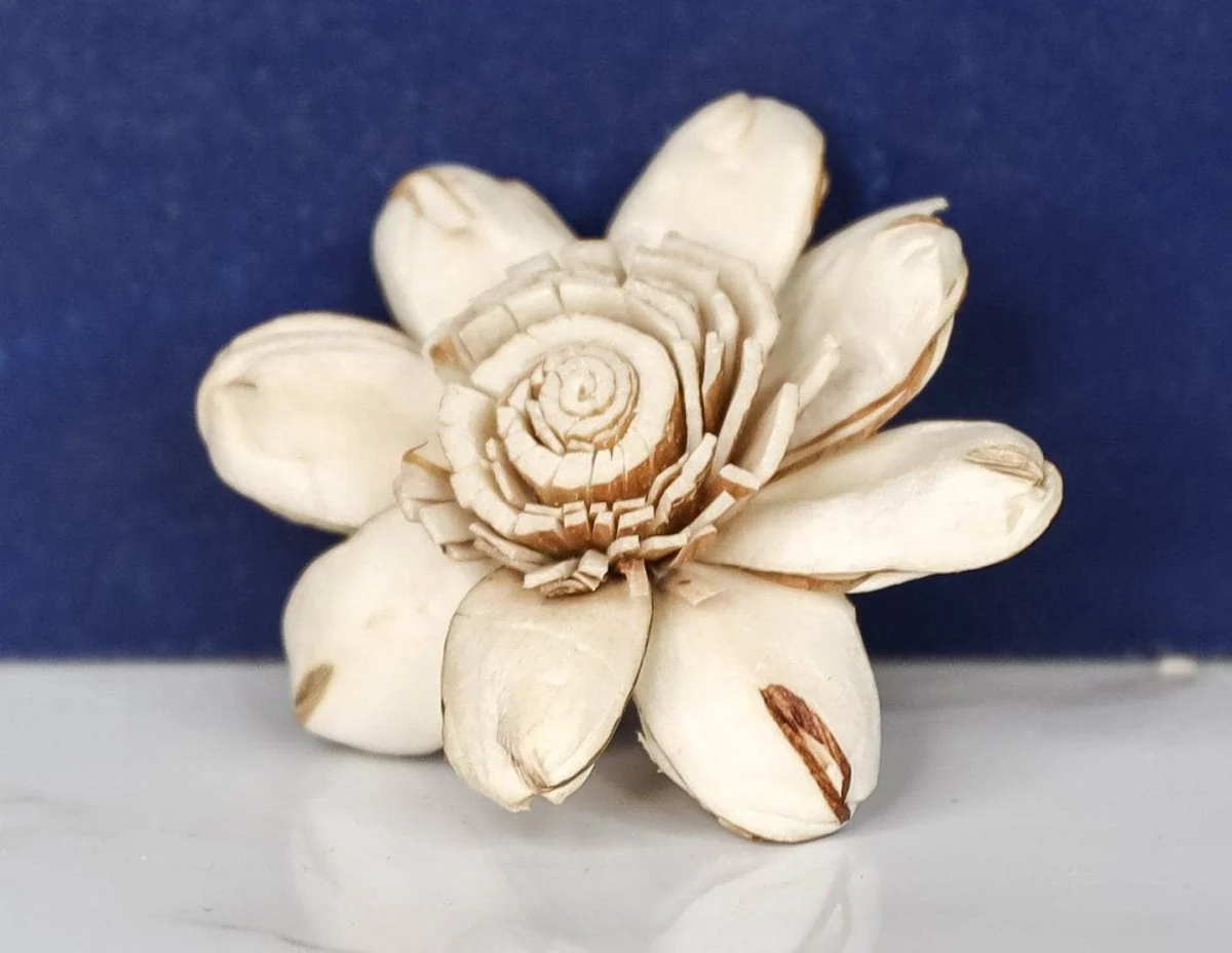 1.5" Distressed Daisy (10 Pack) - Image 2