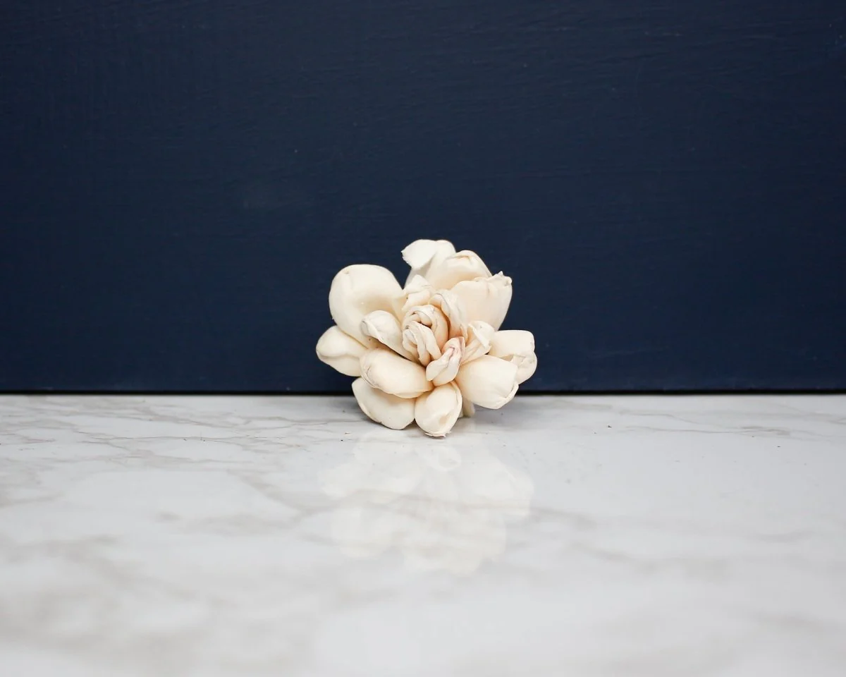 1.5" Donna (10 Pack) - Image 2