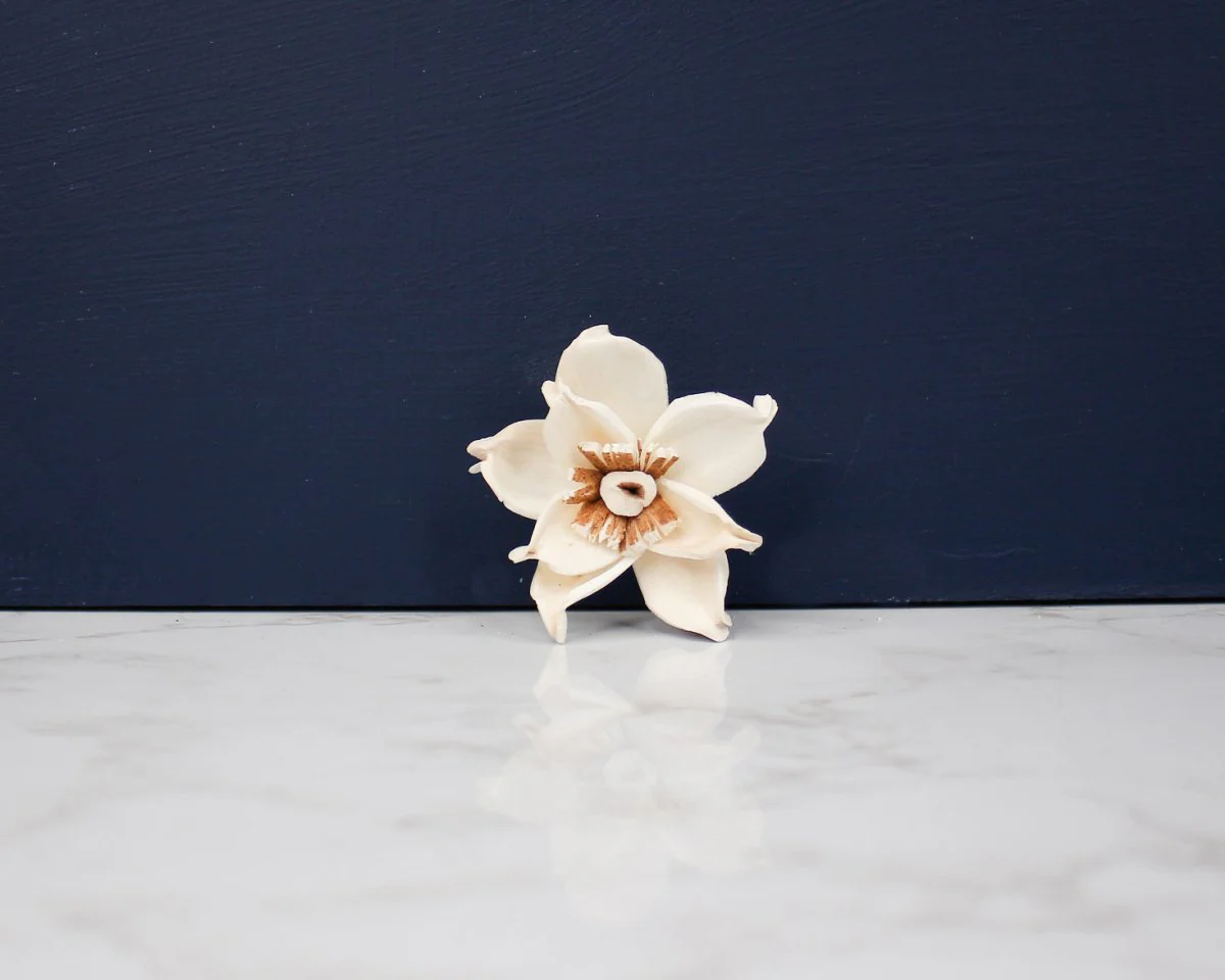 1.5" Gardenia (10 Pack) - Image 2