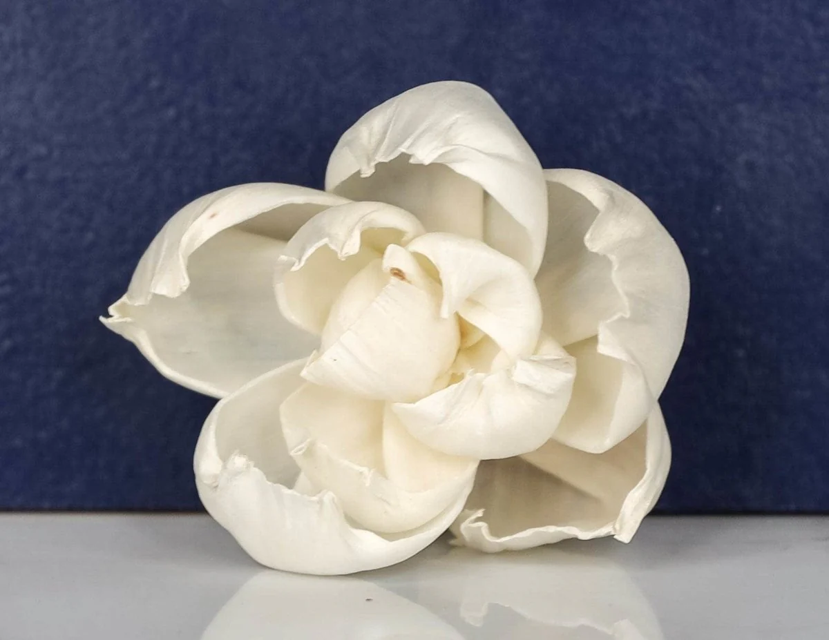 1.5" Lola (10 Pack) - Image 3