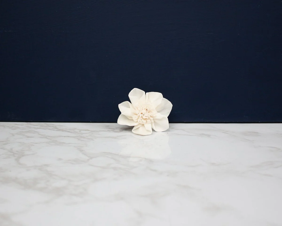 1.5" Maria (10 Pack) - Image 2