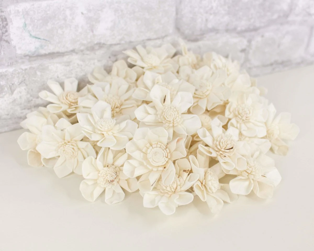 1.5" Maria - 50 Pack - Image 3