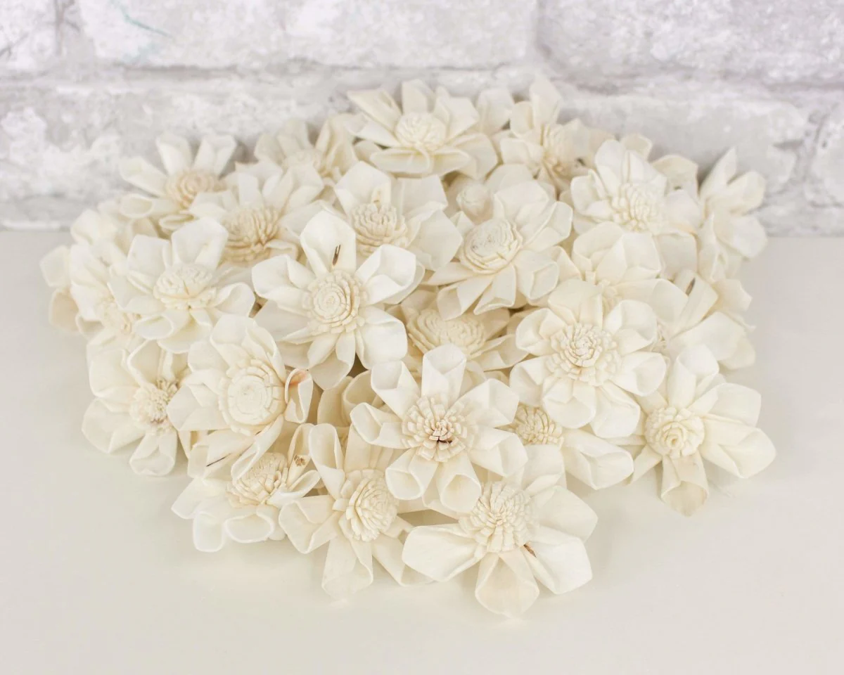 1.5" Maria - 50 Pack - Image 4