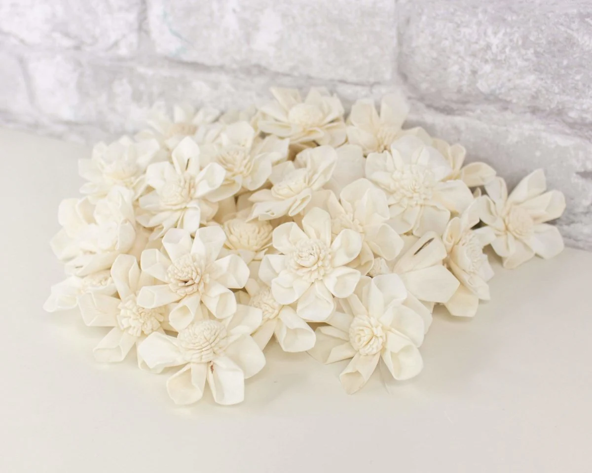 1.5" Maria - 50 Pack - Image 6