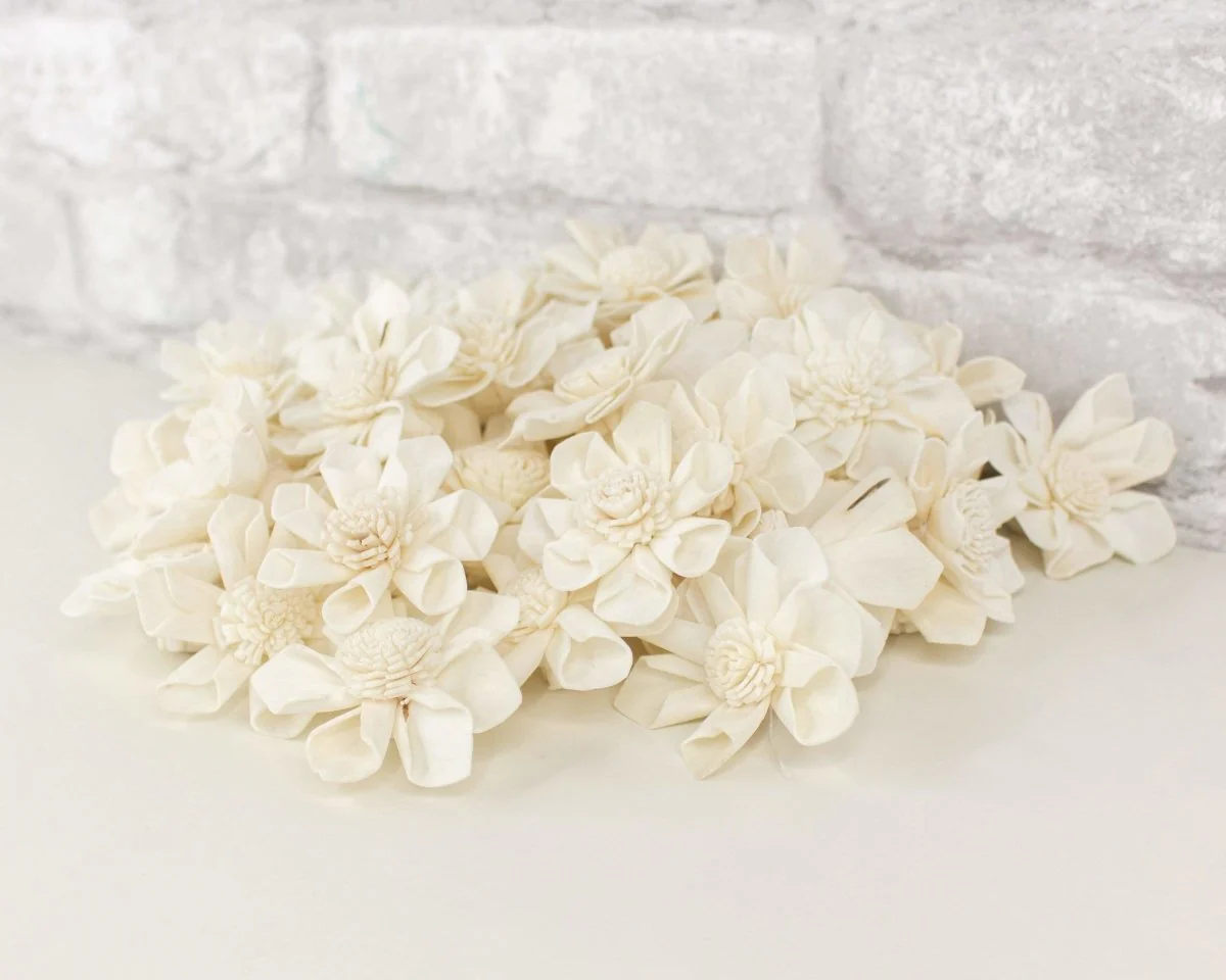 1.5" Maria - 50 Pack - Image 7
