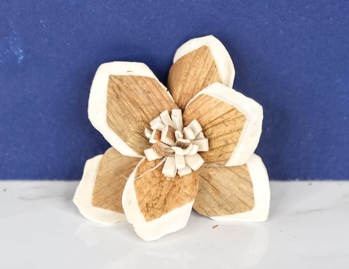 1.5" Mila (10 Pack) - Image 2