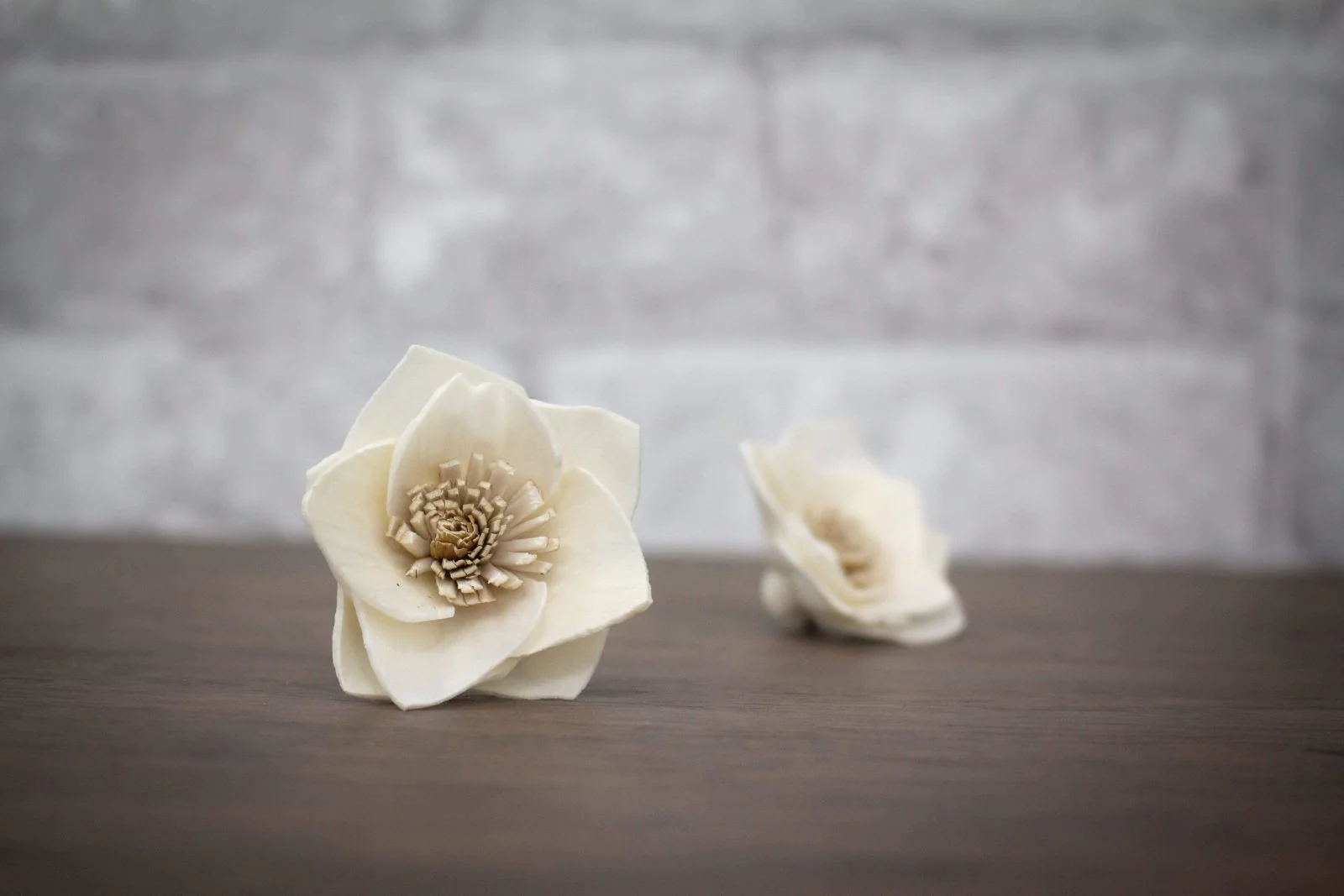 1.5" Posey (10 Pack) - Image 2