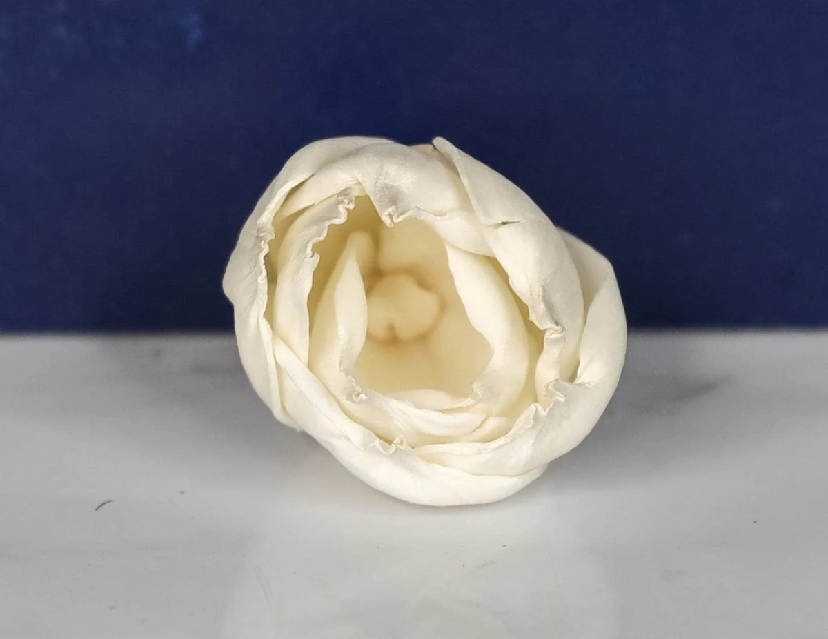 1.5" Precious Tulip (10 pack) - Image 2