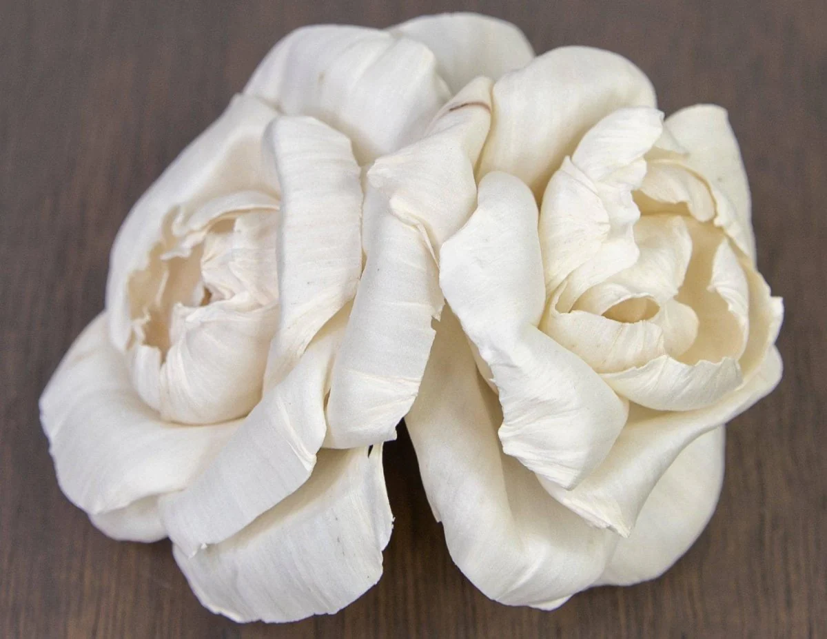 1.5" Ravishing Rose (10 Pack) - Image 3