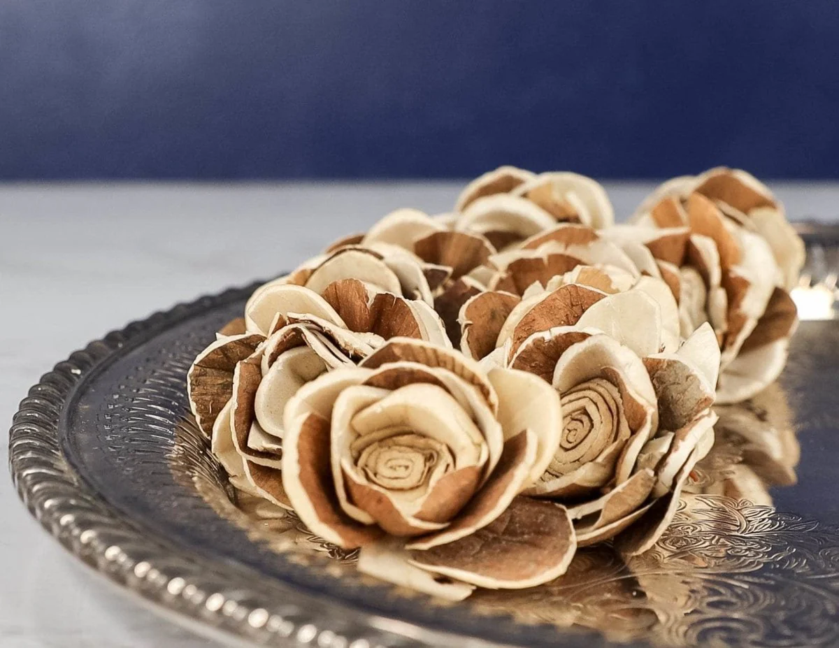 1.5" Bark Lotus (10 Pack) - Image 4
