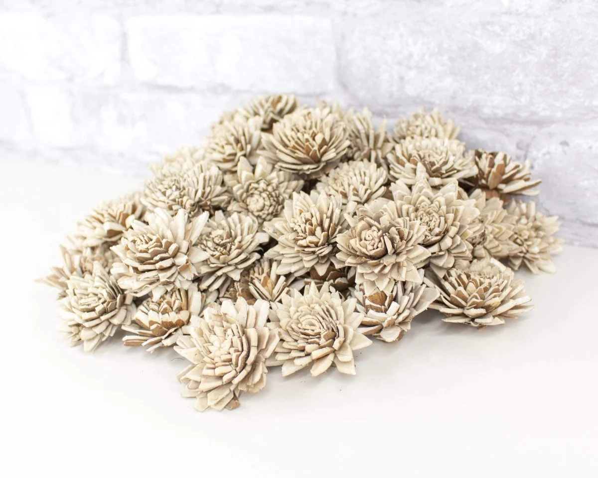 1.5" Bark Zinnia - 50 Pack - Image 6