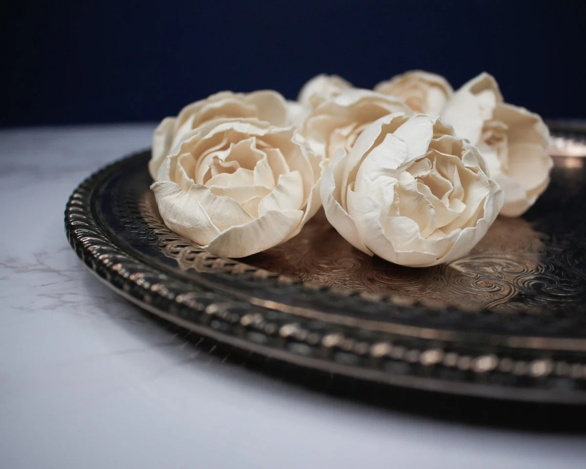 1.5" Sorbet Peony (10 Pack) - Image 4