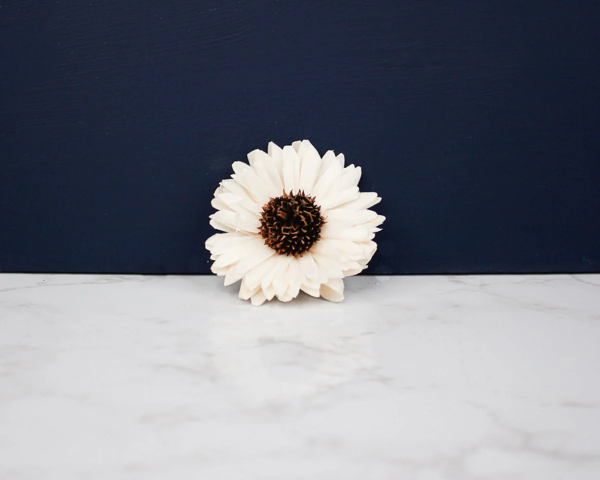 1.5" Sunflower Daisy (10 Pack) - Image 4
