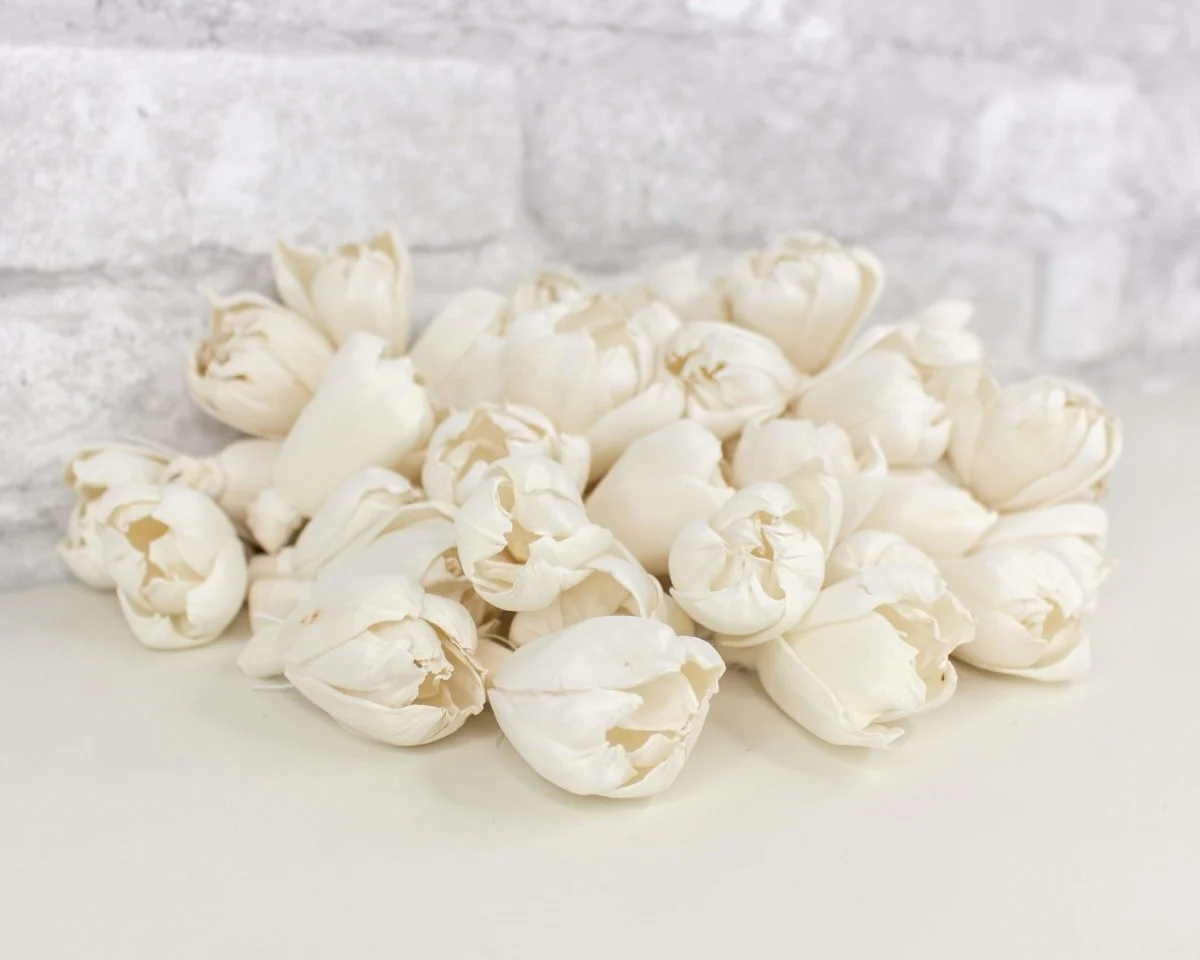 1.5" Precious Tulip - 50 Pack - Image 3