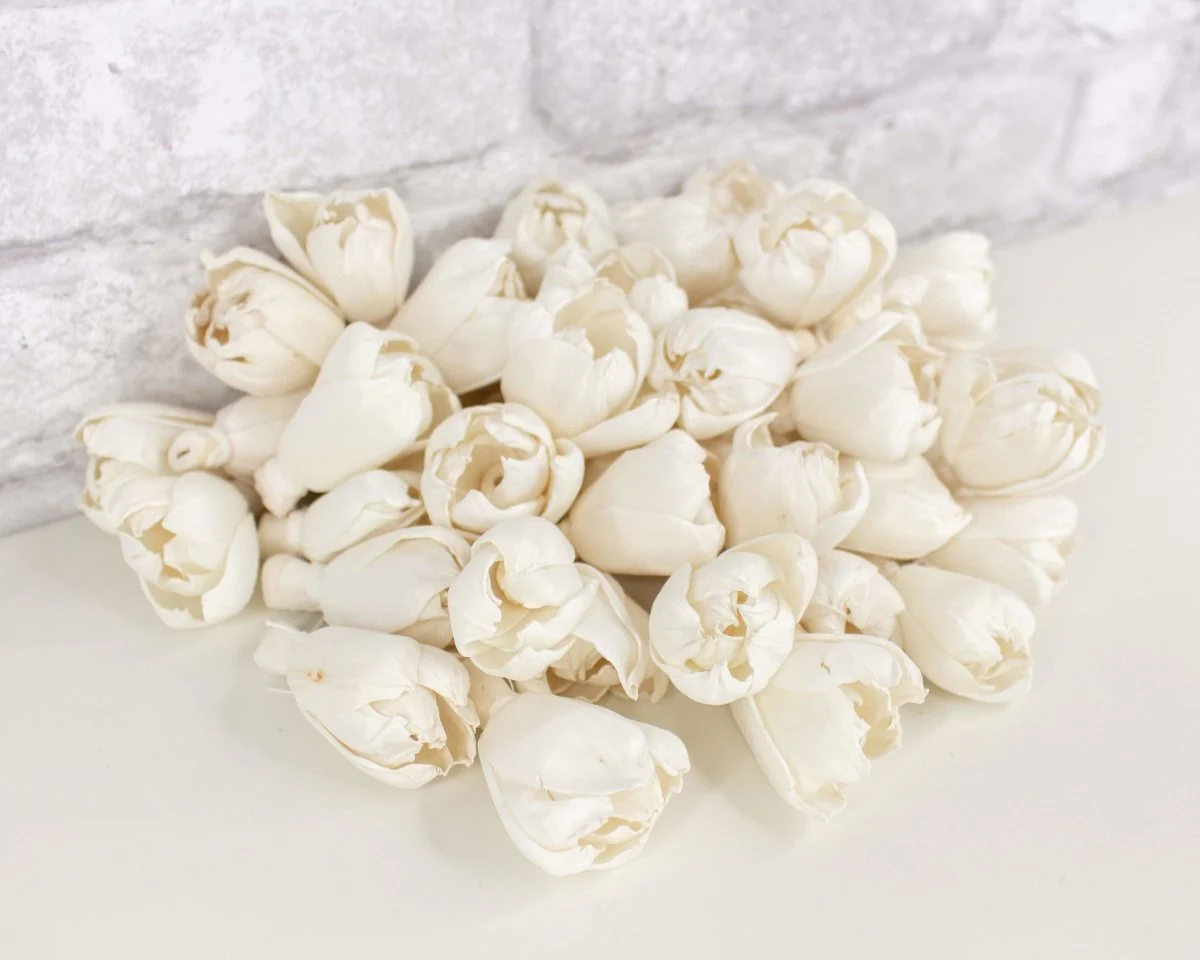 1.5" Precious Tulip - 50 Pack - Image 5