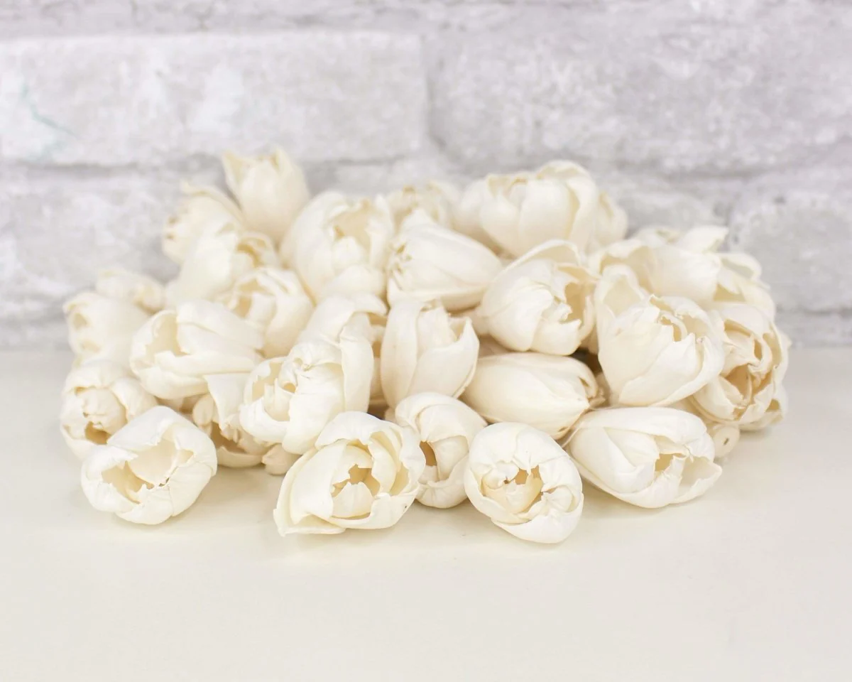 1.5" Precious Tulip - 50 Pack - Image 6