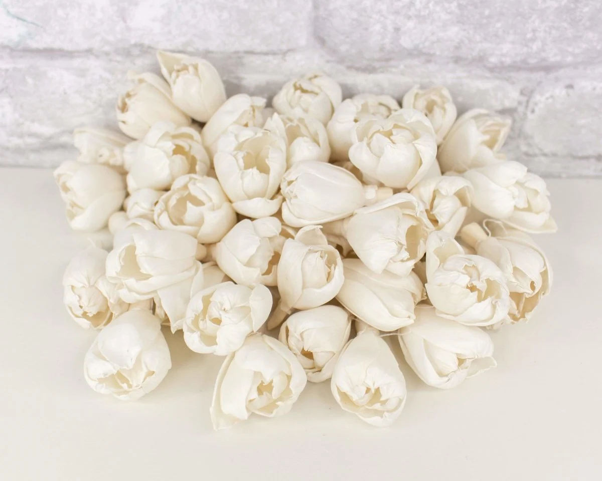 1.5" Precious Tulip - 50 Pack - Image 8