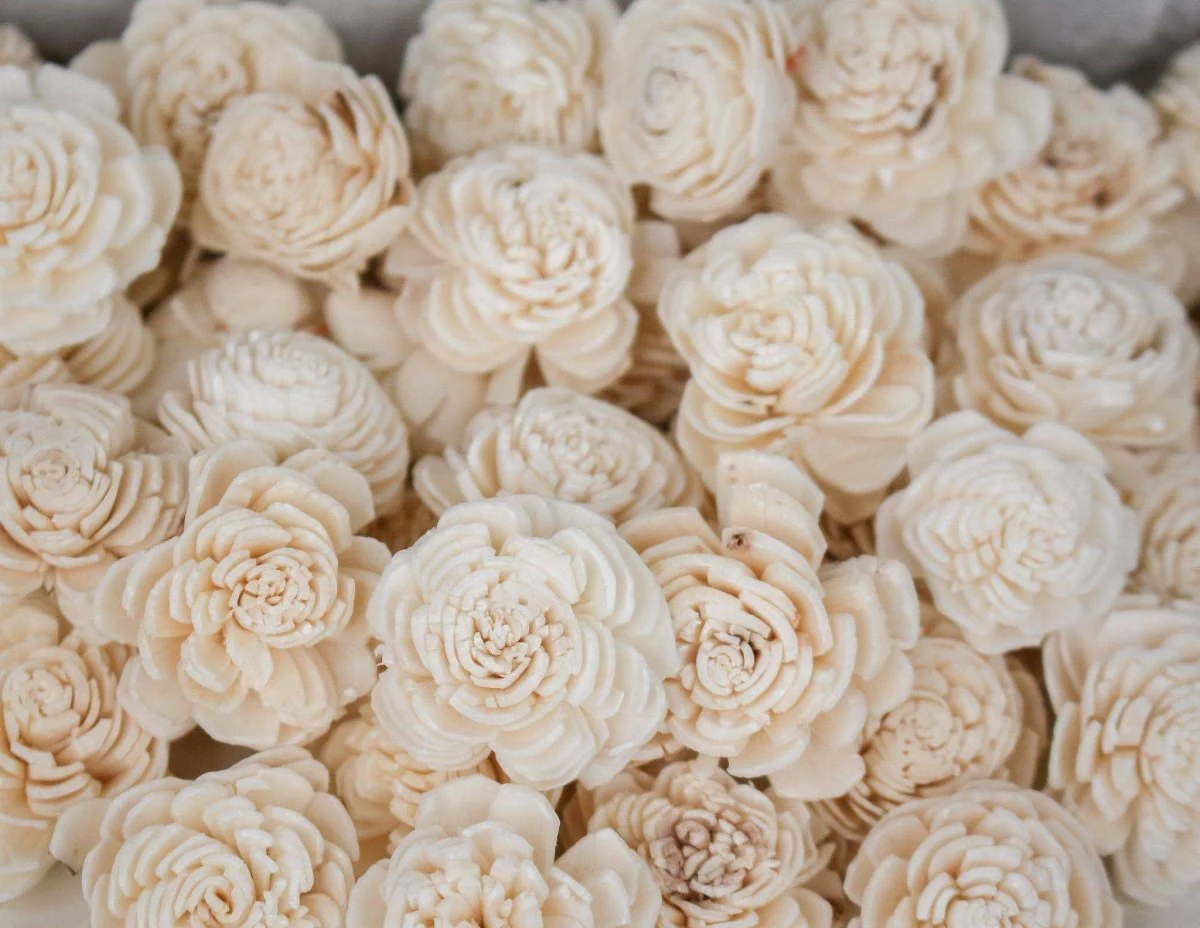 1" Bali - 50 Pack - Image 2