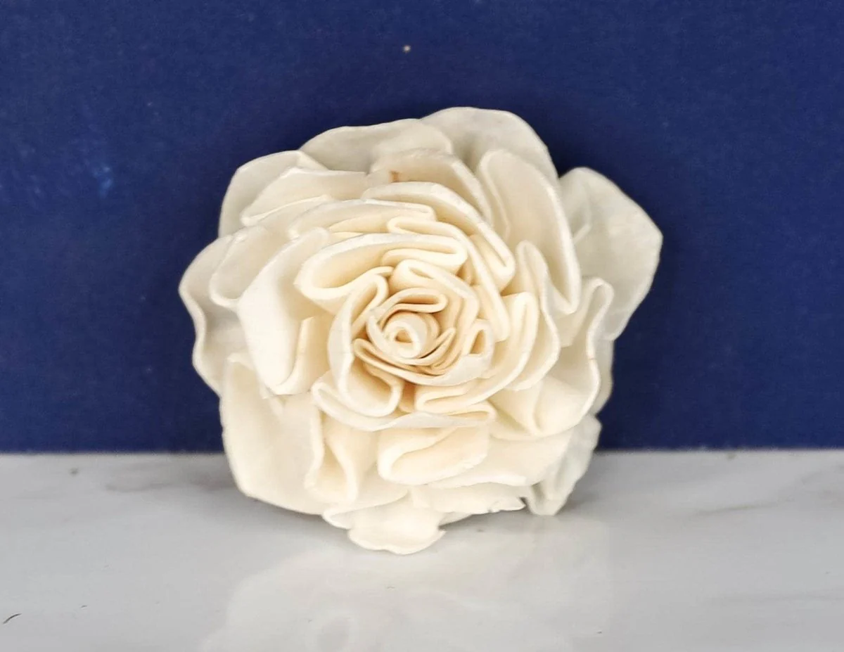 1" Dahlia (10 pack) - Image 2