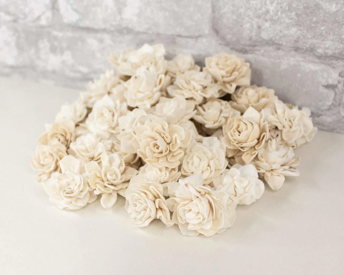 1" Dahlia - 50 Pack - Image 3