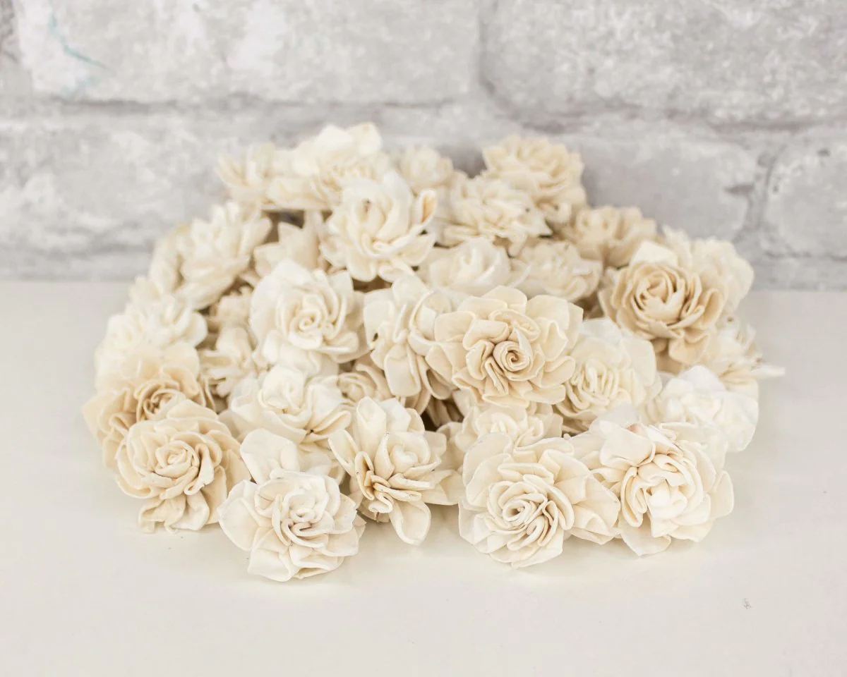 1" Dahlia - 50 Pack - Image 4