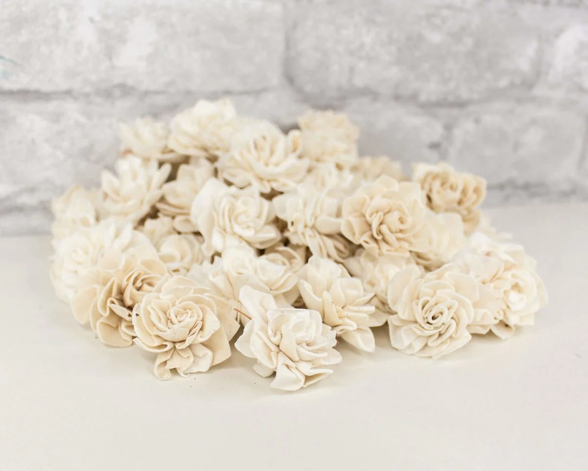 1" Dahlia - 50 Pack - Image 5