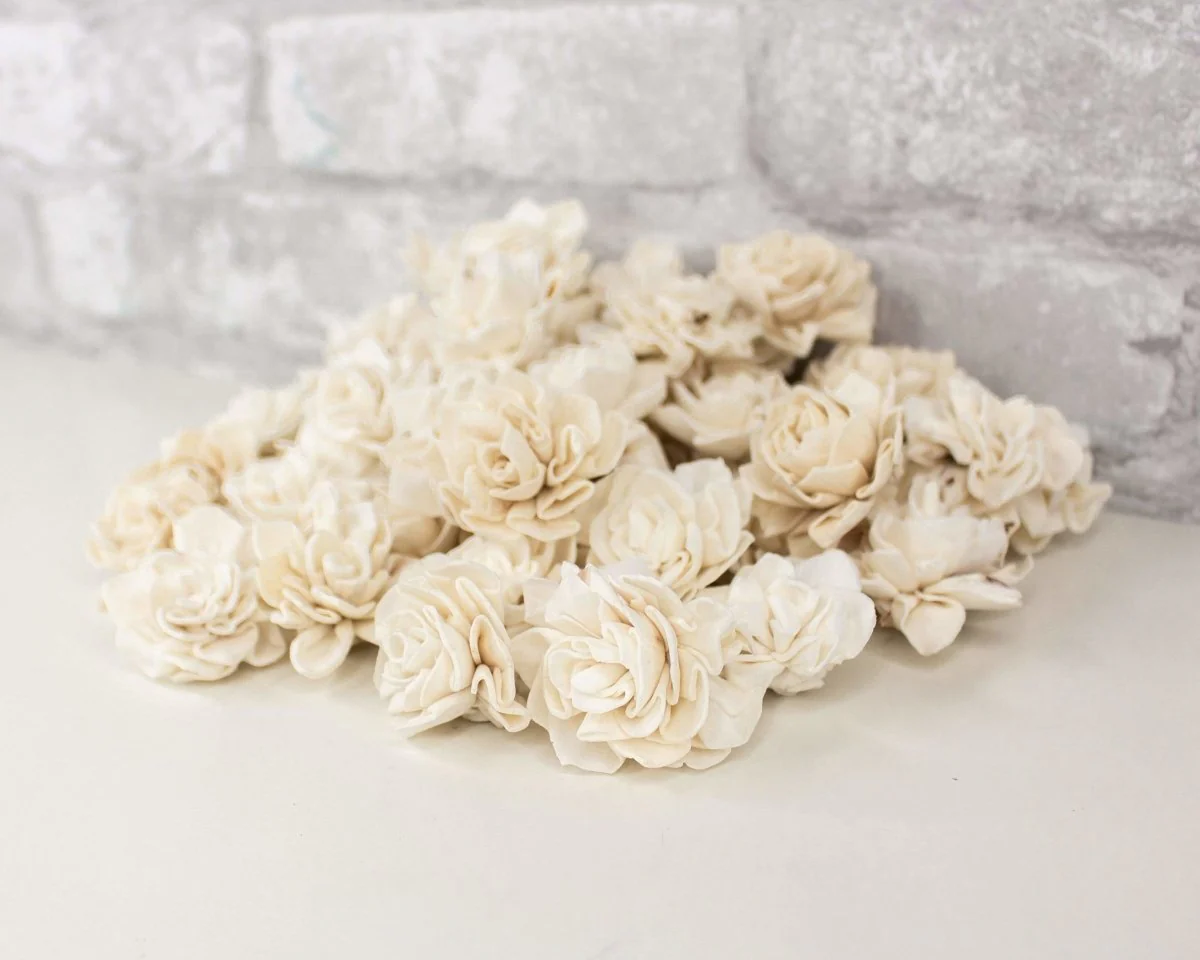 1" Dahlia - 50 Pack - Image 6