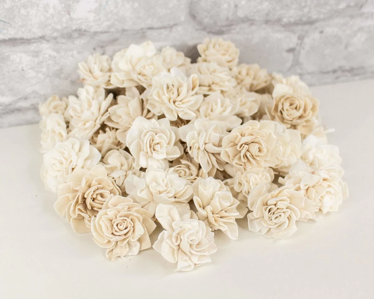 1" Dahlia - 50 Pack - Image 7