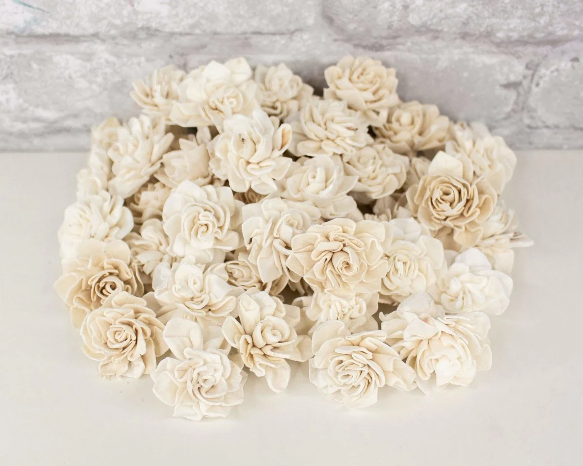 1" Dahlia - 50 Pack - Image 8